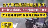 女子摸陌生狗面部慘遭撕咬 背后真相太恐怖了