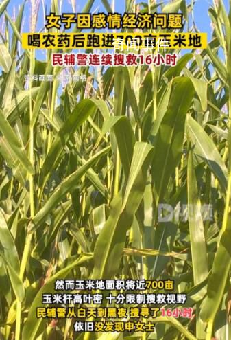 女子因感情問題喝農(nóng)藥后跑進(jìn)玉米地 民警搜救16小時(shí)