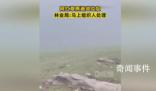 網(wǎng)紅草原遍地垃圾 官方回應(yīng)