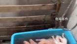 烤鴨店回應(yīng)在廁所浸泡鴨子 空間有限偶爾放一下