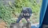 黃石通報(bào)男子當(dāng)街錘人致死 案件正在全力偵辦中