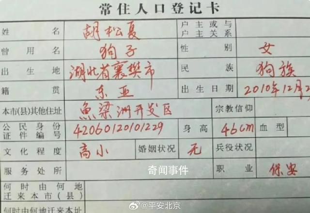 警方談“把狗寫戶口本上”:或擔責