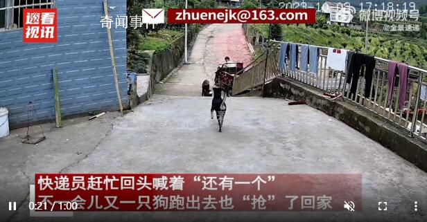 主人不在家快遞顯示狗已簽收 網友爆笑：比人還精