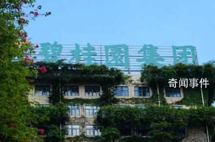 碧桂園宣告啟動境外債重組 前9個月銷售同比降43.9%