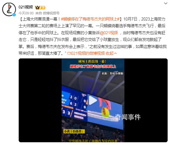 蝴蝶停在了梅德韋杰夫的網球上 觀眾們都自發地鼓起了掌