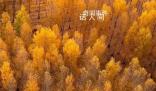 用中國傳統色打開秋天 一起感受多彩秋日下的大美中國