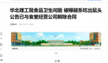 媒體:指鼠為牛接棒指鼠為鴨
