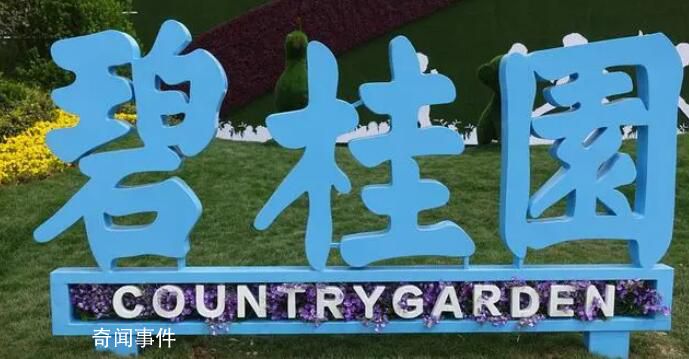 碧桂園創始人赴廣東工地調研 楊國強露面