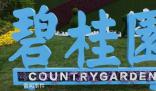 碧桂園創(chuàng)始人赴廣東工地調(diào)研 楊國(guó)強(qiáng)露面