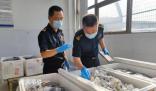 貨車運(yùn)5380只吸血鬼蟹入境被查 目前已作進(jìn)一步處理