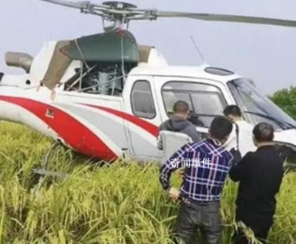 直升機迫降稻田引村民圍觀 所幸機上人員都平安無事