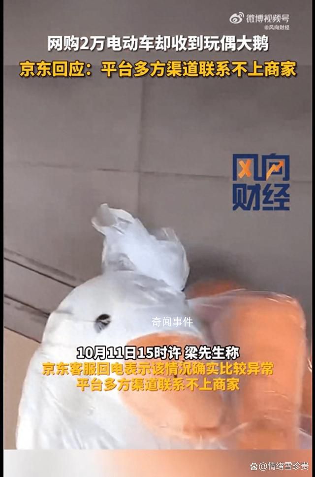 男子網購2萬元電動車收到玩偶大鵝 引起了廣泛關注