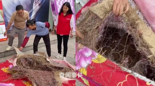 睡了10余年的床墊拆開全是垃圾