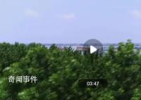 看長江奔騰 感千年文脈