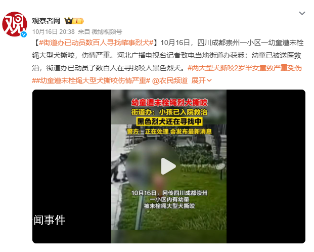 街道辦已動員數百人尋找肇事烈犬