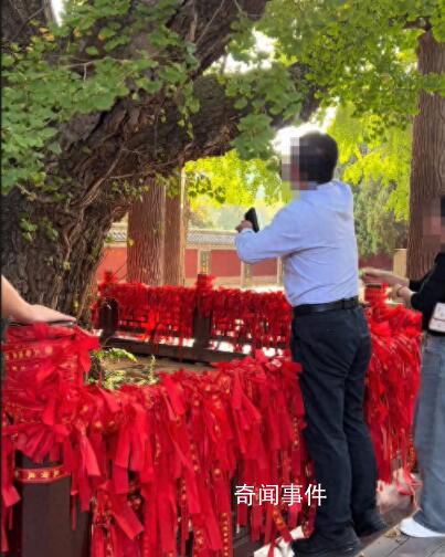景區(qū)回應(yīng)男子掐掉千年銀杏樹葉 抓到會被罰款
