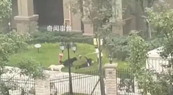 物業(yè)回應(yīng)保潔阿姨為女童擋狗 一保潔阿姨毫不畏懼及時出手阻攔
