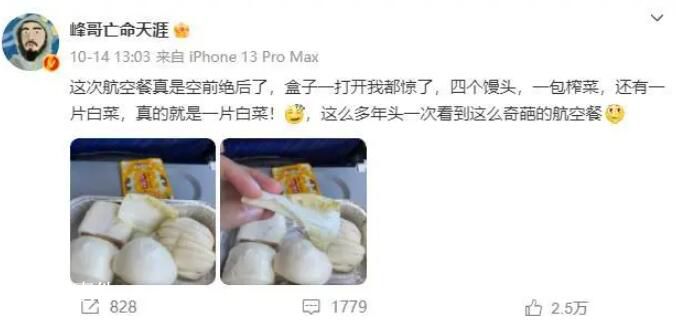 博主吐槽飛機餐發(fā)4個饅頭1片白菜 過于寒酸