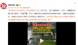 街道辦已動員數(shù)百人尋找肇事烈犬