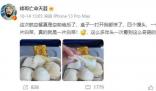 博主吐槽飛機餐發4個饅頭1片白菜 過于寒酸