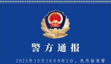 女童在小區遭惡犬圍咬 警方通報