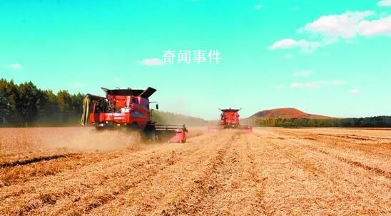 全力以赴保障糧食豐收 進度七成：搶抓農時保豐收