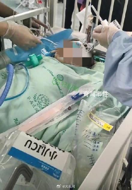 被狗咬傷女童已籌齊200萬(wàn)捐款