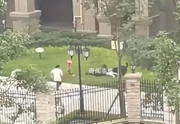 寵物協會人士:建議養犬前先考試