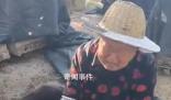 60箱蜜蜂被指遭人投毒一夜死光 背后真相令人憤怒