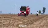 央媒評禁止機械設備收花生:瞎指揮