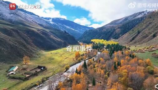 秋色與雪景在新疆同框了 大美祖國大美新疆