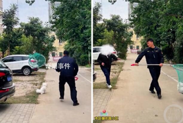 媒體評“不拴狗繩一律捕捉” 輿論場正在發生微妙的改變
