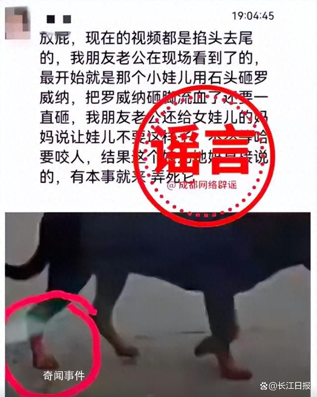 成都警方辟謠被咬女童4大謠言 被咬女童離世系謠言