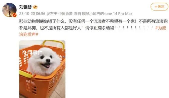 劉雅瑟稱不是所有流浪狗都是壞狗 呼吁停止捕殺動物