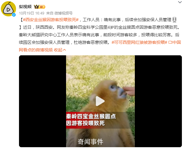 金絲猴因游客投喂而死?園方回應