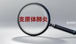 一個醫藥記者的支原體肺炎筆記 有種新聞照進現實的感覺
