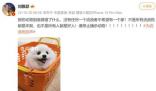 劉雅瑟稱不是所有流浪狗都是壞狗 呼吁停止捕殺動物
