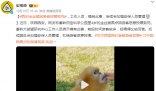 金絲猴因游客投喂而死?園方回應