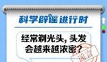 經常剃光頭,頭發會變濃密?