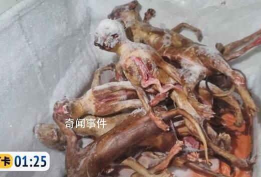 貓肉按每斤4塊5充當豬羊肉 中間的差值全是利潤