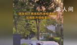 網(wǎng)友拍下男孩和氣球相遇美好瞬間 活中總有不期而遇的驚喜等著你