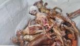 貓肉按每斤4塊5充當豬羊肉 中間的差值全是利潤