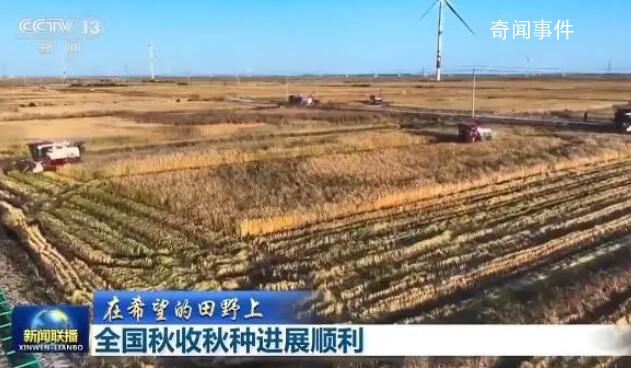 全國秋收進(jìn)度近八成 吉林省大安市72萬畝水稻收獲進(jìn)入高峰