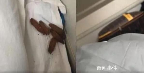 男子在臥鋪發現“排泄物”樣異物 12306回應：床單會換