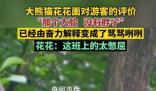 花花掙的工資有一大半是委屈費