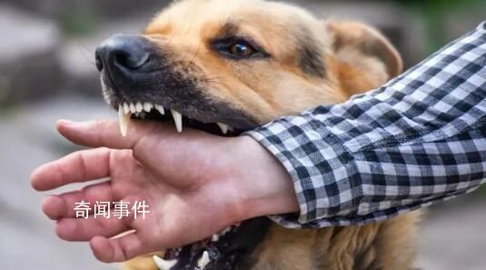 狂犬病潛伏期長達十幾年?別信