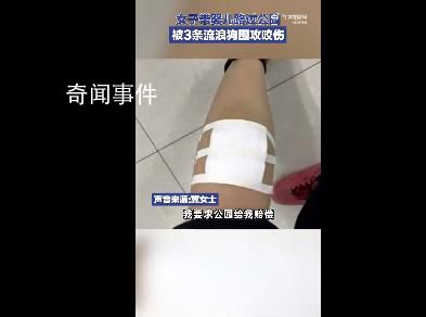 女子帶娃路過公園 被3條流浪狗圍攻