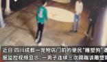 寵物店前雕塑狗遭人打砸 店主氣炸