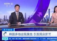 臭蟲入侵韓國多地 引發(fā)了民眾不安