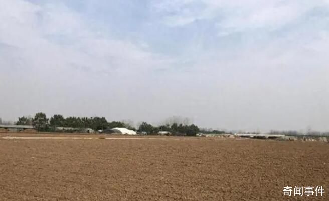 撿花生身亡老人家屬回應惡評 人家花生已經(jīng)收完不要了那不是搶
